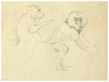 Visualizza l'immagine "FD D 1891"